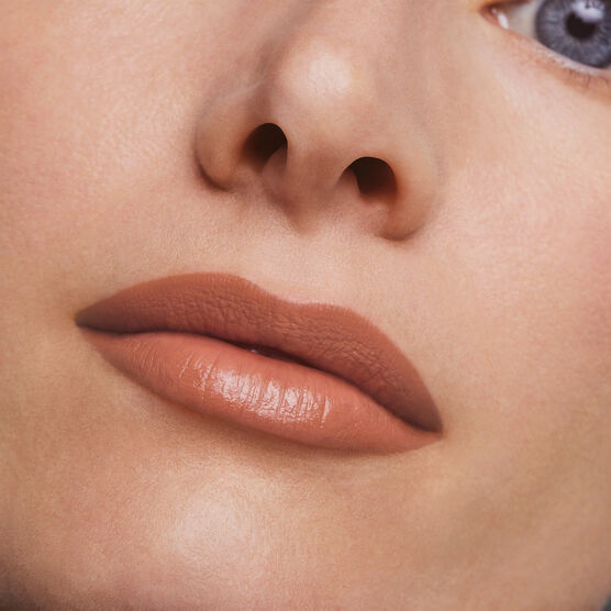 PURE COLOR EST�E LAUDER LIP CREME 826